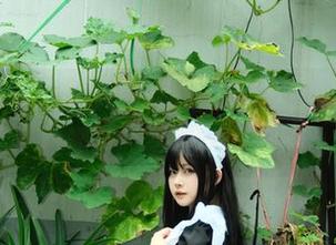 白莉爱吃巧克力在豹纹里的每张图片，似乎都有故事在低语…