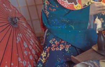 菠萝社 – 你们双击了吗？夏美酱的高清写真资源，值得收藏！